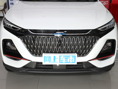2022款 1.5T 蓝鲸自动尊贵型