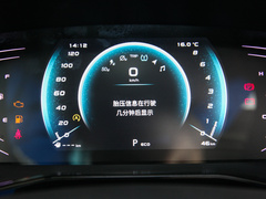 2022款 1.5T 蓝鲸自动尊贵型