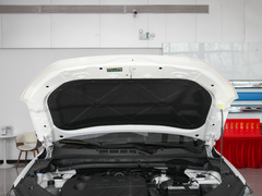 2022款 1.5T 蓝鲸自动尊贵型