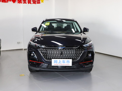 2022款 1.5T 蓝鲸自动智尊型