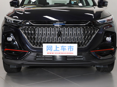 2022款 1.5T 蓝鲸自动智尊型