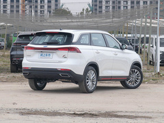 2022款 1.5T 蓝鲸自动智尊型