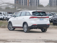 2022款 1.5T 蓝鲸自动智尊型