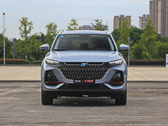 2022款 1.5T 蓝鲸版自动Geeker领航型