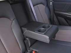 2022款 1.5T 蓝鲸版自动Geeker领航型