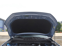 2022款 1.5T 蓝鲸版自动Geeker领航型