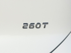 2021款 260T 天王版