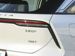 2021款 260T 天王版