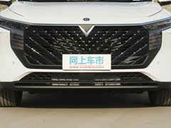 2021款 260T 天王版