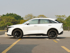 2021款 260T 天王版
