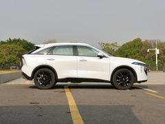 2021款 260T 天王版