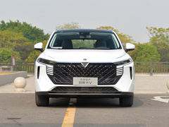 2021款 260T 天王版