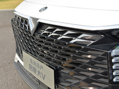 2021款 260T 天王版