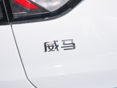 2021款 500 智客行