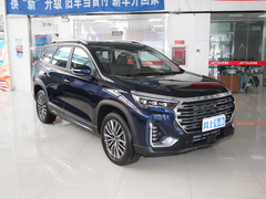 2021款 1.6TD DCT别墅 7座