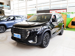 2021款 1.6TD DCT庄园 5座