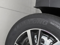 2022款 盛世款 1.6L 手动筑梦版五座
