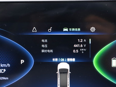 2021款 500km 光耀豪华 长续航版