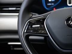 2021款 500km 光耀豪华 长续航版