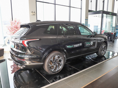 2021款 2.0T PHEV Halo 七座
