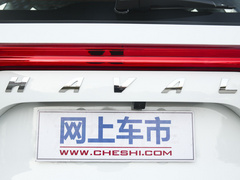 2022款 PLUS 1.5T DCT柳岩联名版