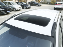 2022款 PLUS 1.5T DCT柳岩联名版