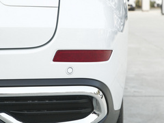 2022款 PLUS 1.5T DCT柳岩联名版
