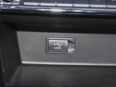 2022款 PLUS 1.5T DCT柳岩联名版