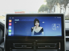 2022款 PLUS 1.5T DCT柳岩联名版