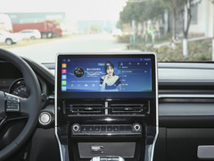2022款 PLUS 1.5T DCT柳岩联名版
