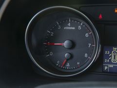 2022款 PLUS 1.5T DCT柳岩联名版