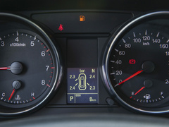 2022款 PLUS 1.5T DCT柳岩联名版