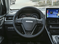 2022款 PLUS 1.5T DCT柳岩联名版
