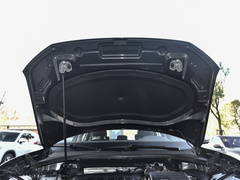 2021款 330TSI 两驱3周年限量版 