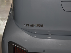 2021款  热爱款