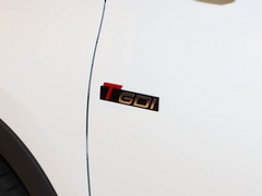 2021款 鲲鹏版 390TGDI 自动逐风+版