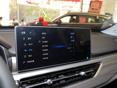 2021款 鲲鹏版 390TGDI 自动逐风+版