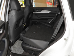 2021款 鲲鹏版 390TGDI 自动逐风+版