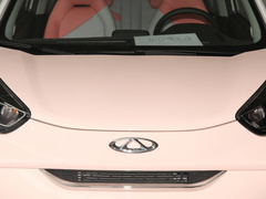 2022款 甜粉款 半糖版 磷酸铁锂 30kW 301km