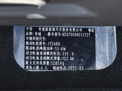 2022款 甜粉款 全糖版 三元锂 55kW 408km