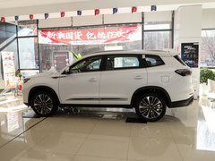 2022款 鲲鹏版 390TGDI DCT豪享版