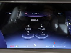 2022款 鲲鹏版 390TGDI DCT豪享版