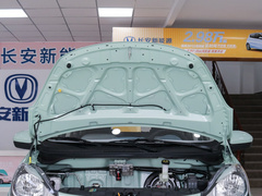 2021款 国民版 多彩款 磷酸铁锂（31.95kWh）