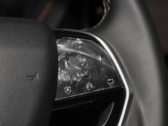 2021款 1.5L 大师版