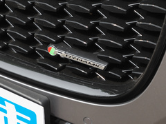 2022款 P250 R-Dynamic BLACK