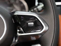 2022款 P250 R-Dynamic BLACK