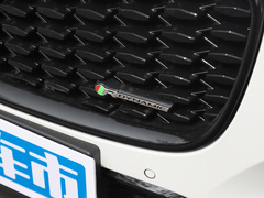 2022款 P250 R-Dynamic BLACK