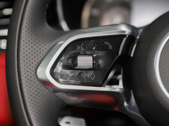 2022款 P250 R-Dynamic BLACK