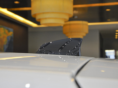2022款 P300e 性能科技版
免税
