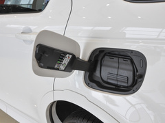 2022款 P300e 性能科技版
免税
